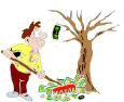 MONEY TREE